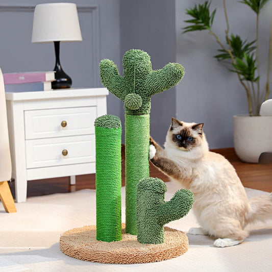 Griffoir chat en forme de cactus avec 3 poteaux grattoir et balle suspendue interactive