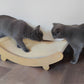 Le Griffoir pour Chat | Bed&Scratcher™ - Boutique Minou