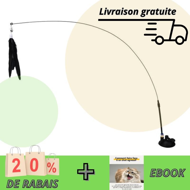 Baguette à plumes interactive pour chats - Boutique Minou