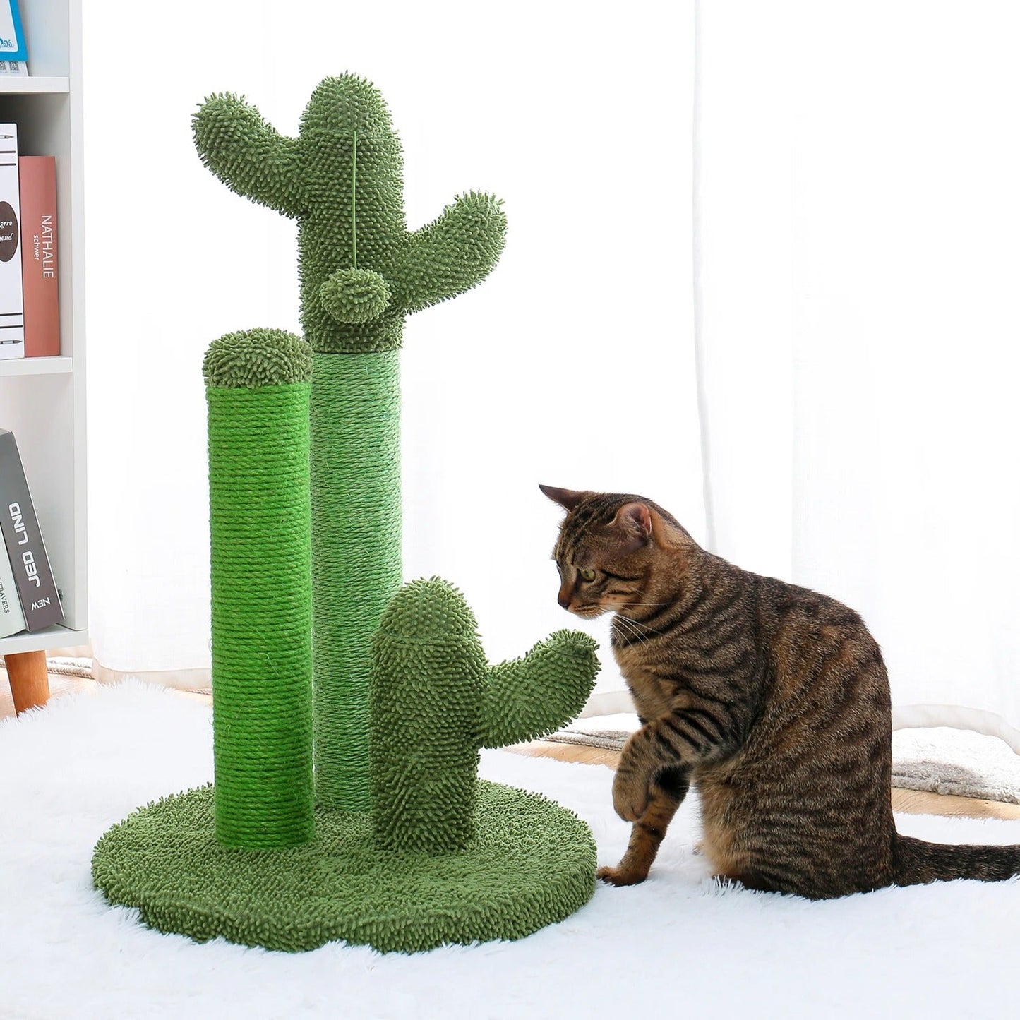 Griffoir pour Chat en Forme de Cactus - Boutique Minou