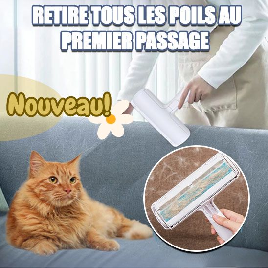 La Brosse anti poil réutilisable | CleanSweep™ - Boutique Minou