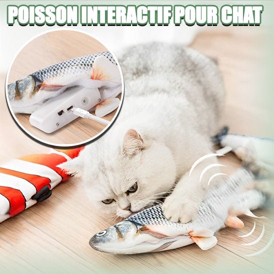 Poisson interactif - Boutique Minou