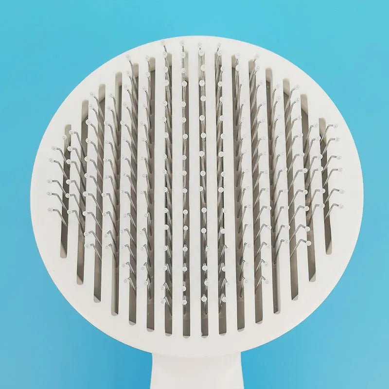 CATCLEANIG ™ Brosse pour chat - boutique minou