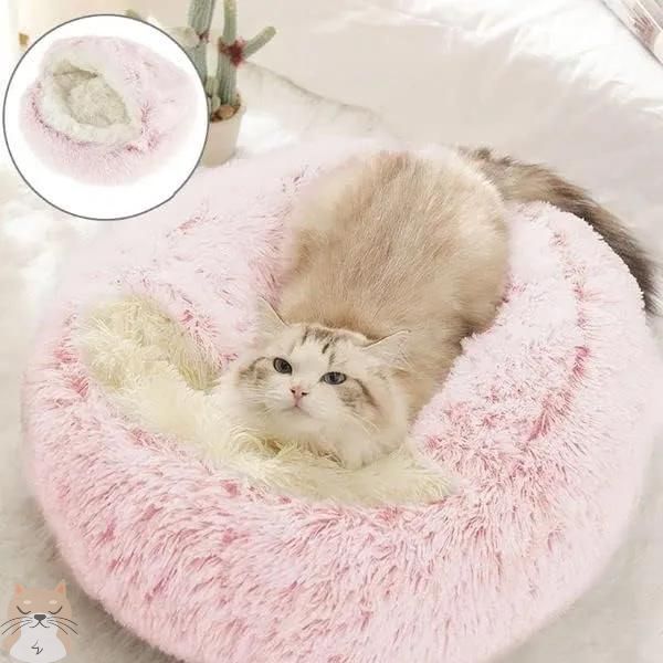 Lit pour chat | SweetSleep™ - Boutique Minou