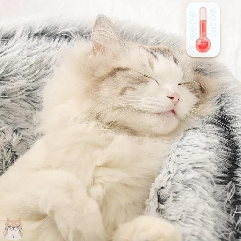 Lit pour chat | SweetSleep™ - Boutique Minou